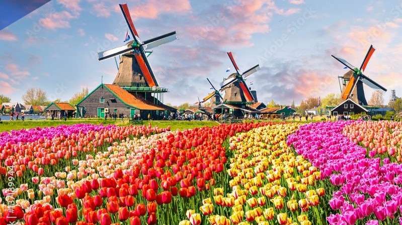رکود اقتصاد هلند (پنجمین اقتصاد بزرگ منطقه یورو)