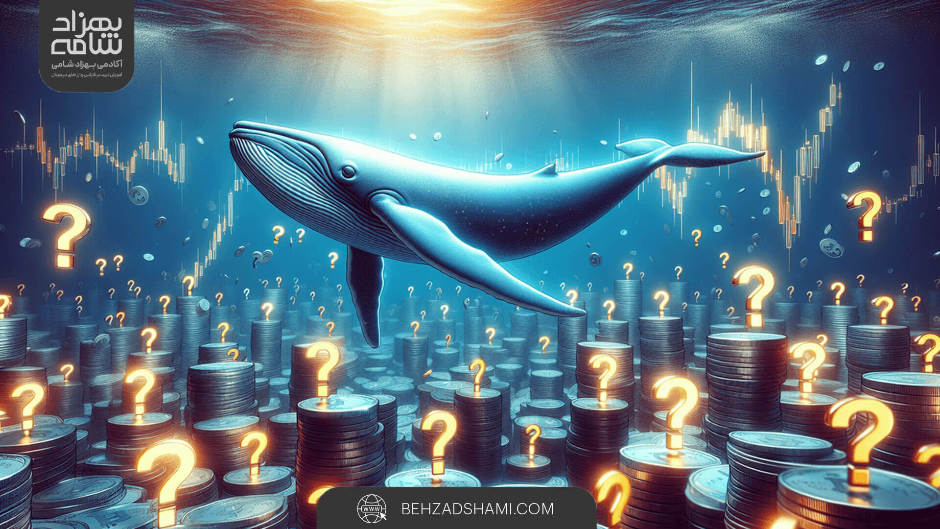 چگونه یک نهنگ بیت کوین را شناسایی کنیم؟